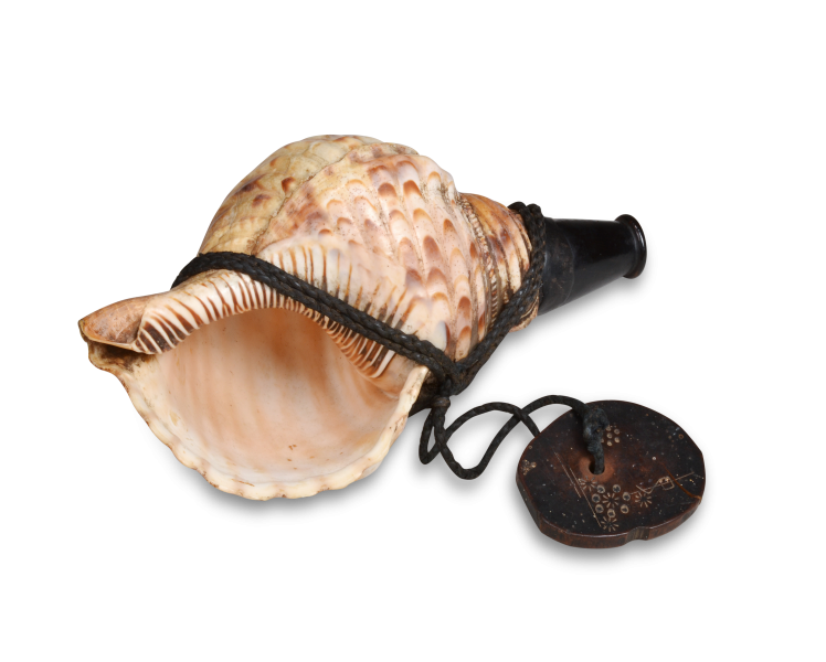 法螺貝 約38㎝ 1.8kg ホラ貝 和楽器以上よろしくお願いいたします - 和楽器