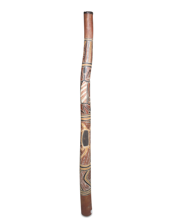 ディジュリドゥ オーストラリア大陸 先住民アボリジニの金管楽器 木製 